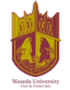WASEDA FC